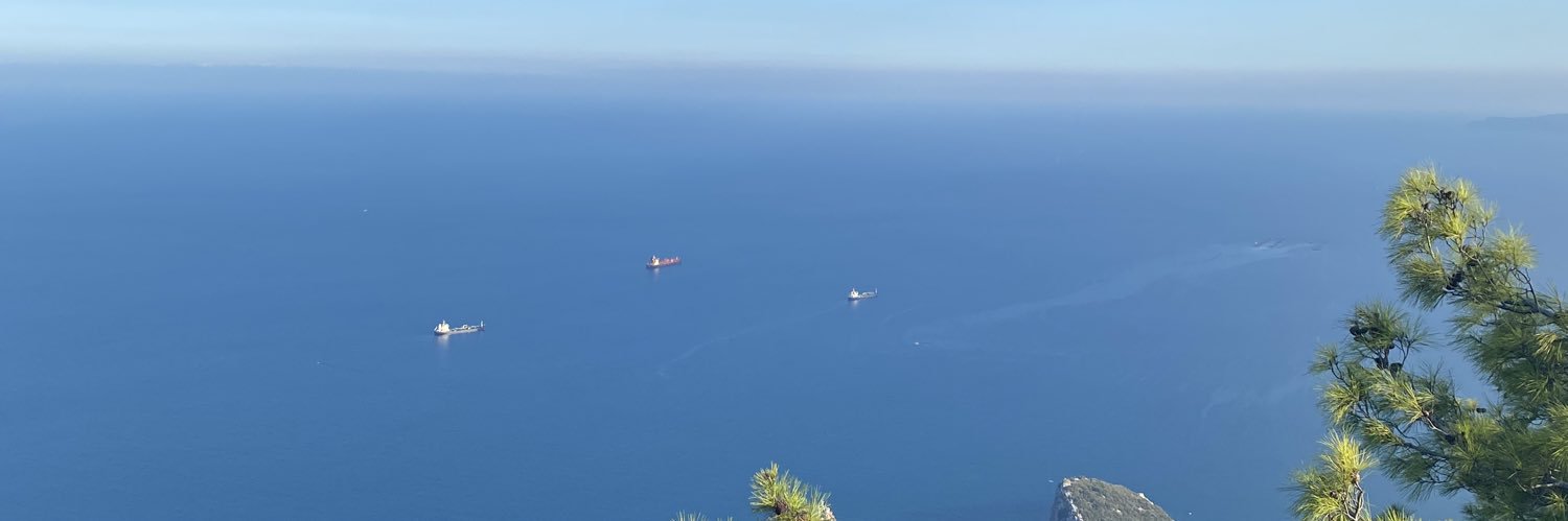 CeydaTosunoglu's profile banner image