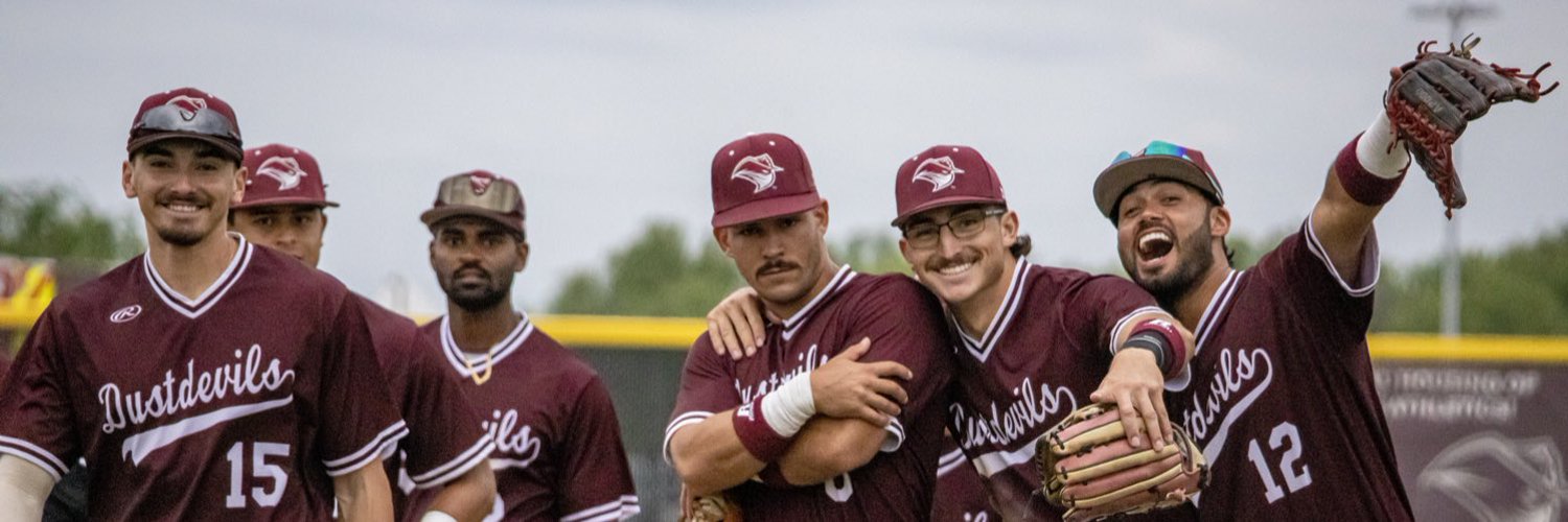 Dustdevil Baseball Profile Banner