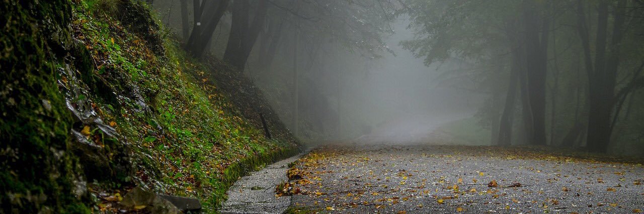 AnaPaula🚩🏳️‍🌈🥂 banner