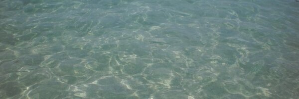 __fleotta Profile Banner