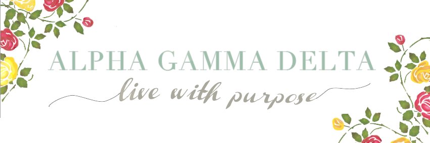 NovaAlphaGam's profile banner image