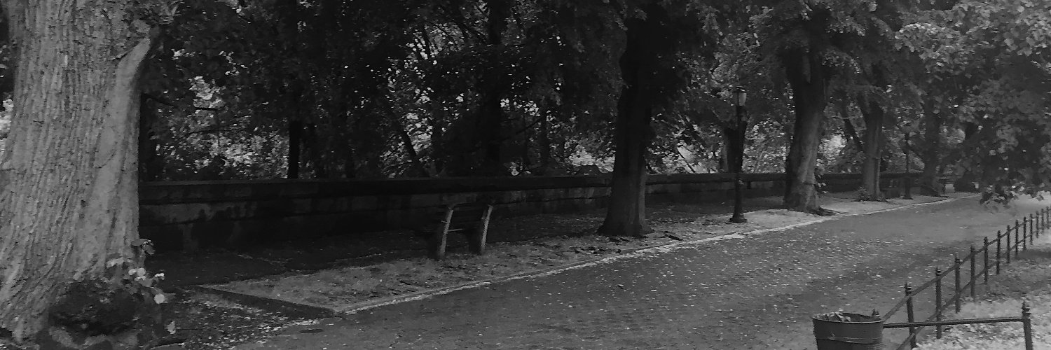 RealMsHavisham💙 banner