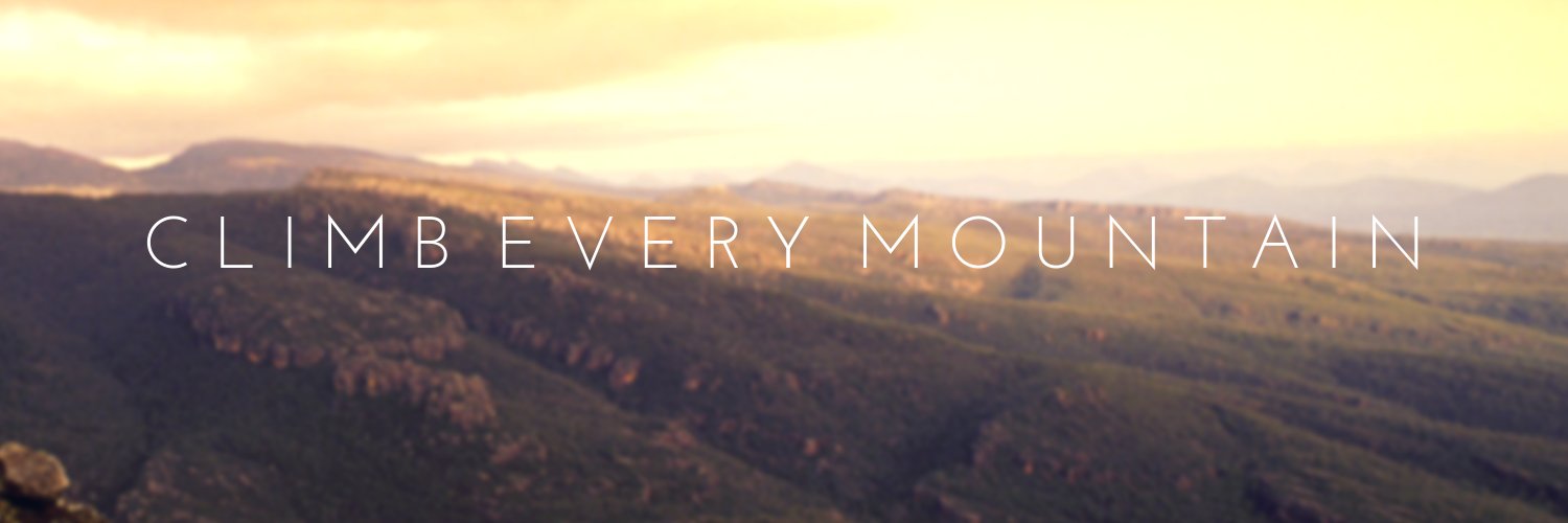 Shawnda Norlock banner