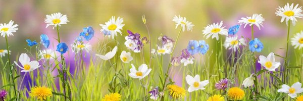 MrsSeeley1 Profile Banner