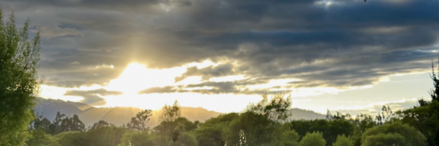 mfernandachc's profile banner image