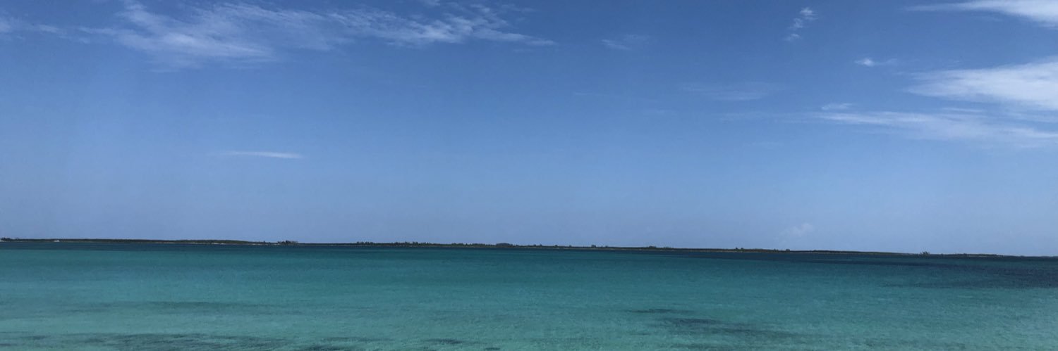 Michael Scotto banner