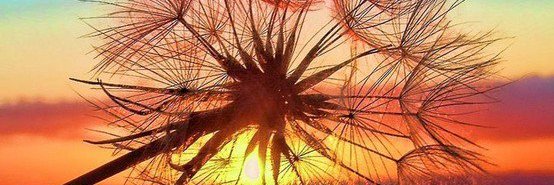 deya_st's profile banner image