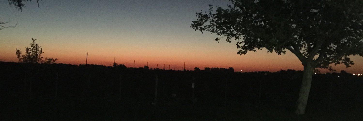 NicolasMosso1's profile banner image