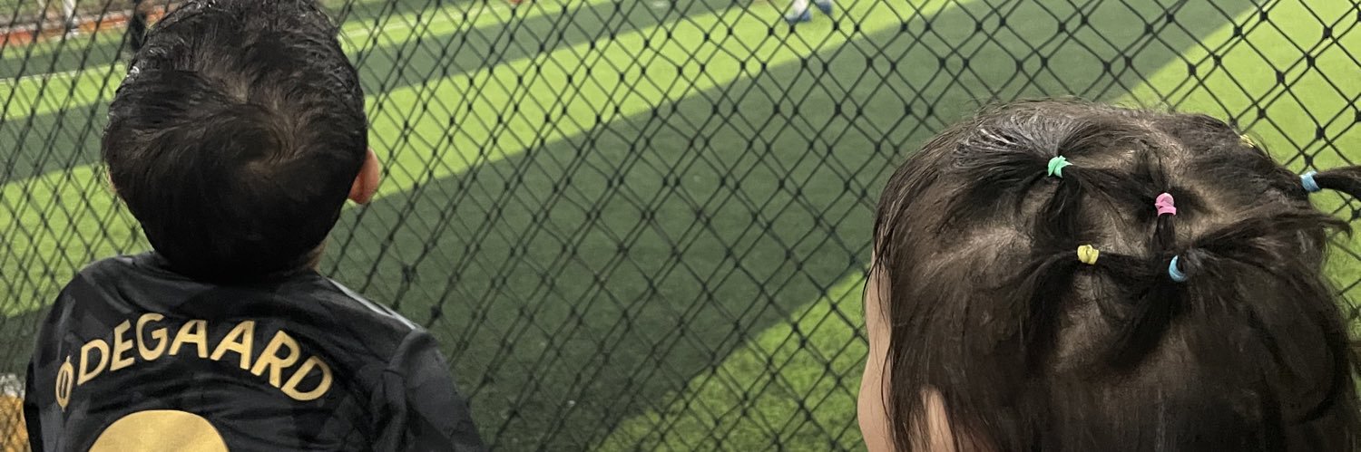 ShobrinaS's profile banner image