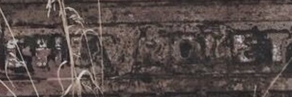 clemmer_trey Profile Banner