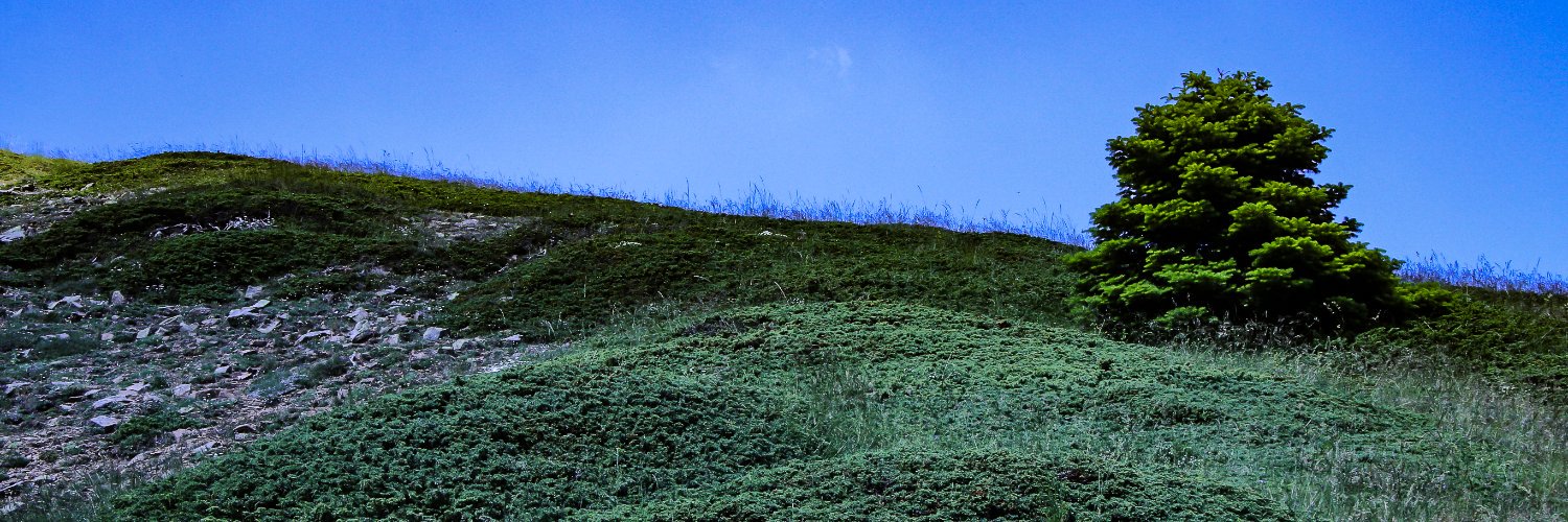 Evelyne Georgiou banner