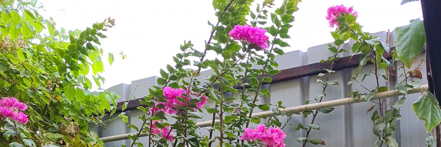 nassermohd's profile banner image