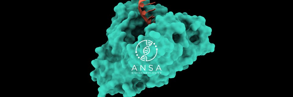 Ansa Biotechnologies's banner