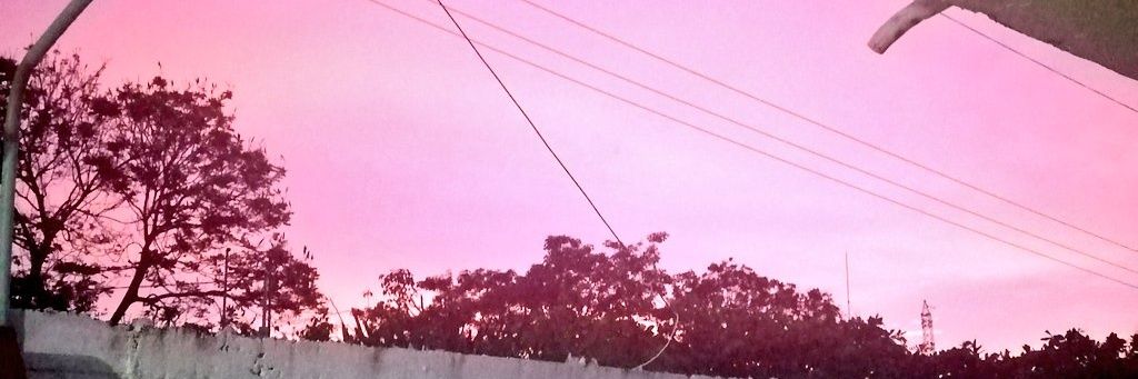 MaggieSAP_'s profile banner image