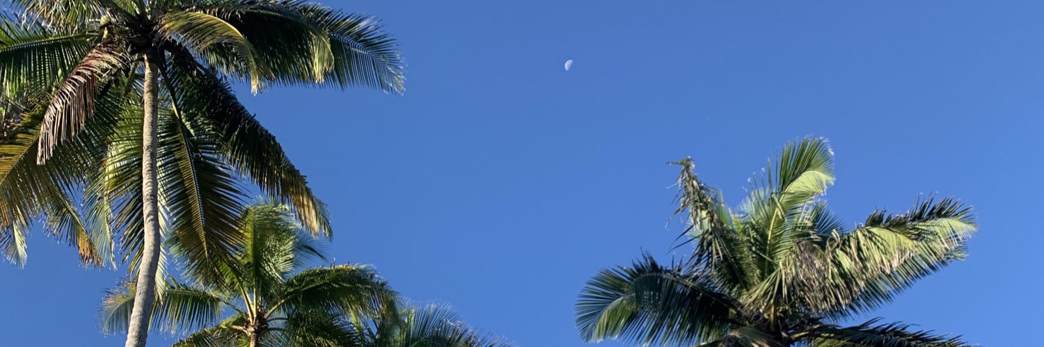 b3l1109's profile banner image