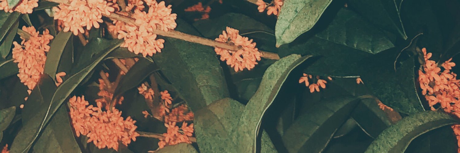 annzuuchaan's profile banner image
