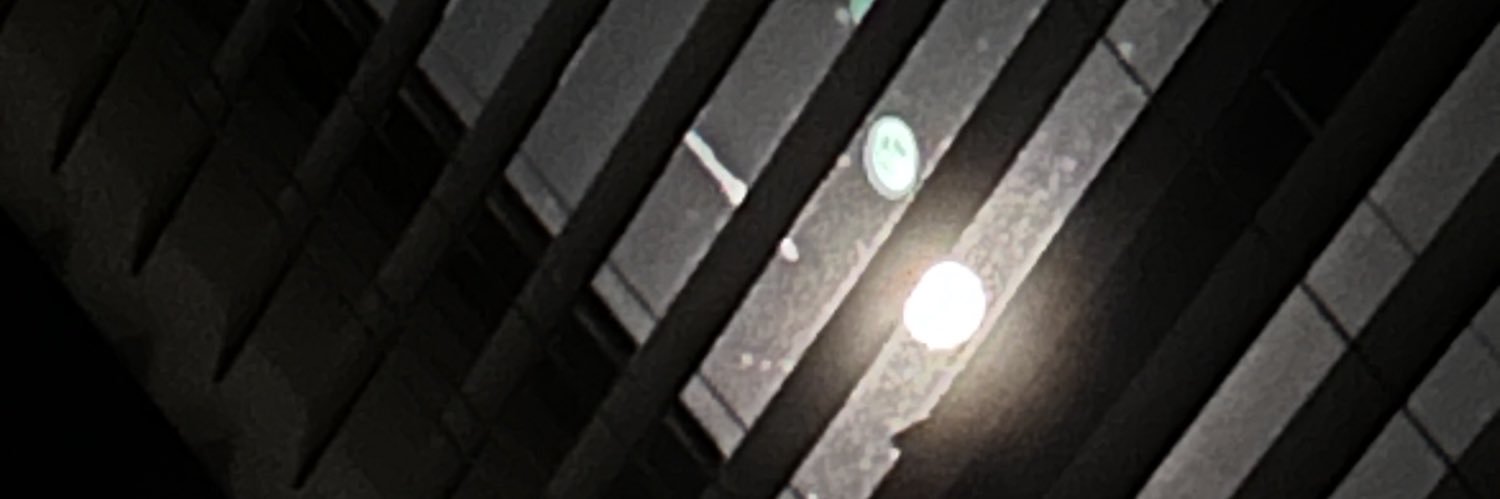 temporvry's profile banner image