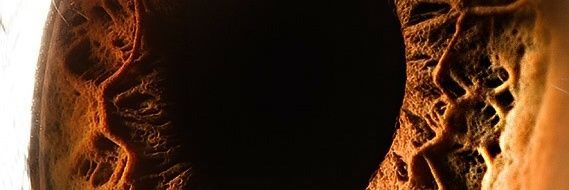 rawjack_usa's profile banner image