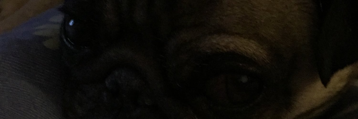 itsandreaval's profile banner image