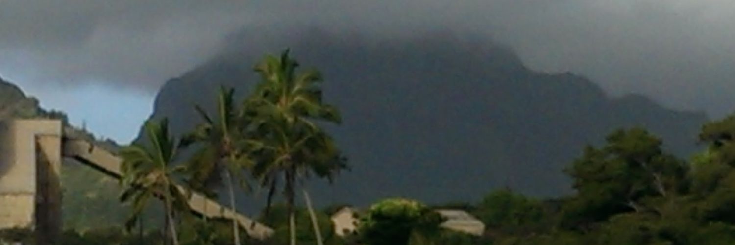 Shirlisas's profile banner image
