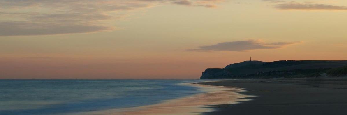 Tesse Perrine banner