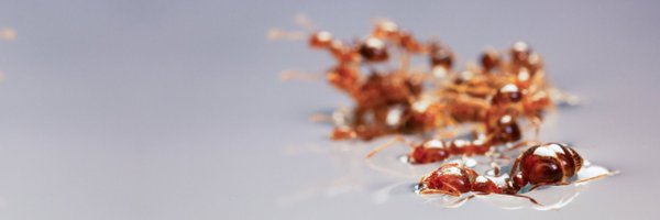 HungtangK Profile Banner