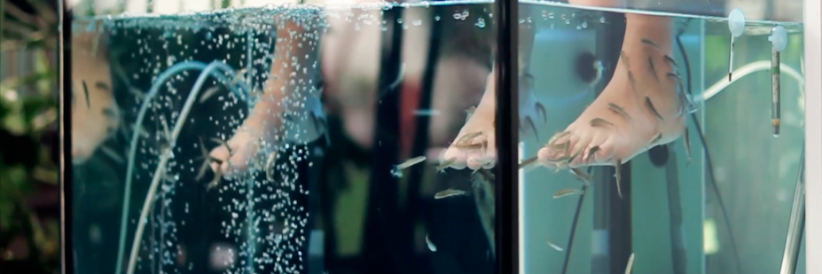 PoolFishSpa's profile banner image