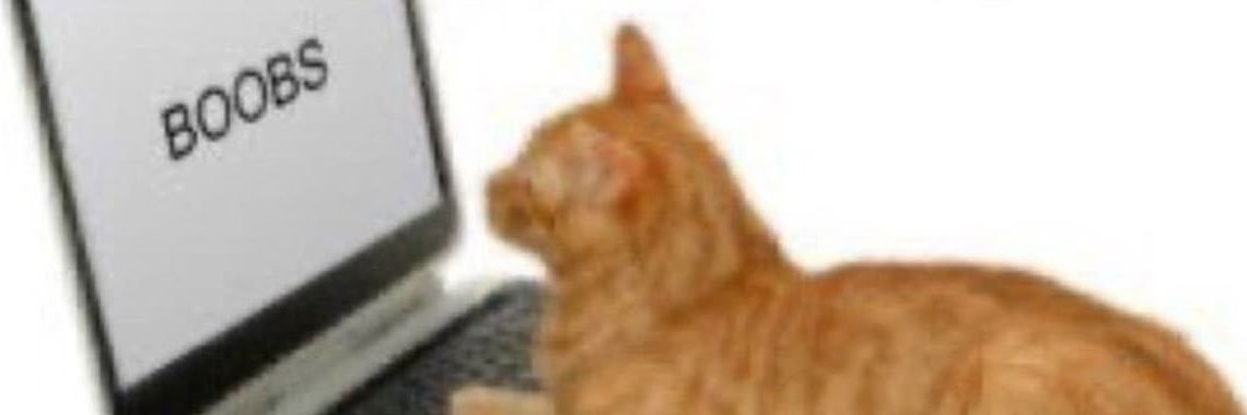 _costlari's profile banner image