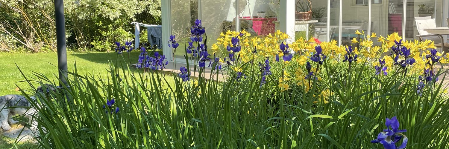 Edyta Scilba 🇵🇱🇸🇪🇪🇺🇺🇦 banner