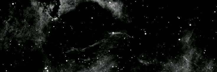 Avrilbog01's profile banner image