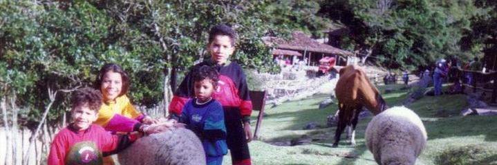 GundisalⓋus🌱🏴 banner