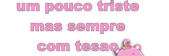camposs_bibi's profile banner image