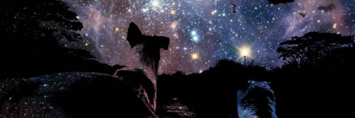 jeitingzon's profile banner image