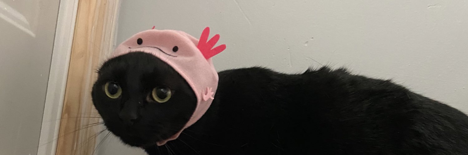 lilystuartt's profile banner image