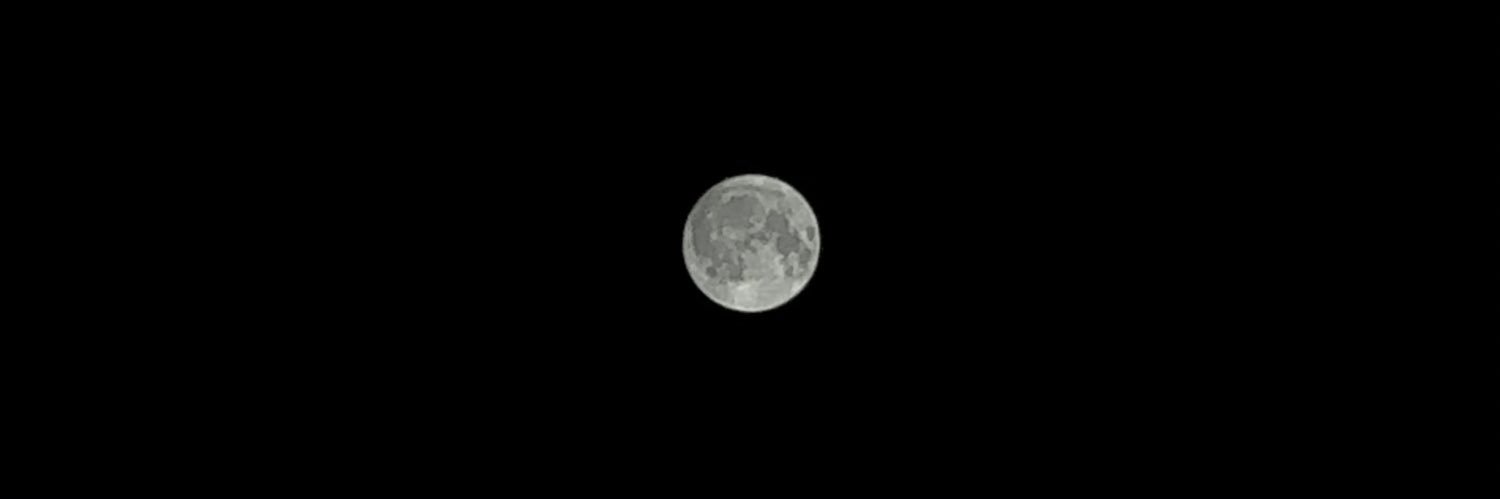 peachvlamet's profile banner image