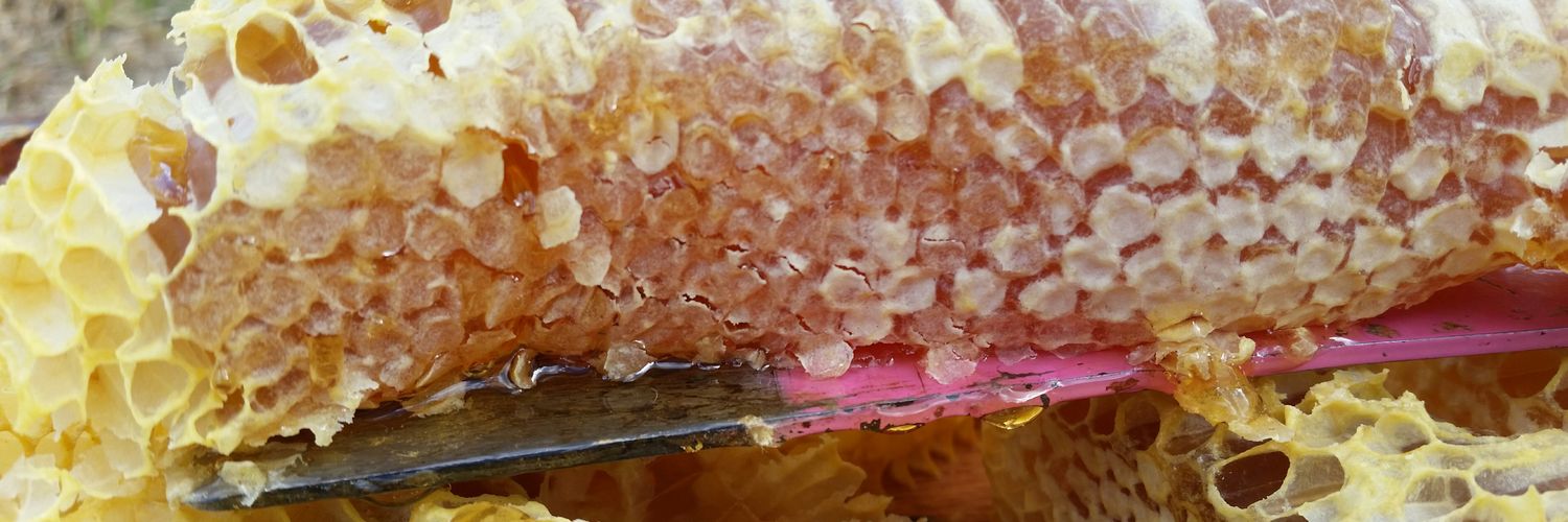 HungryBearFarms's profile banner image