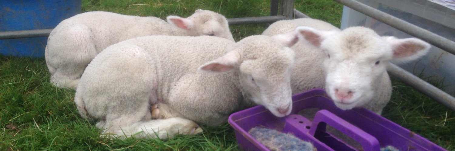 MillCottageFarm's profile banner image
