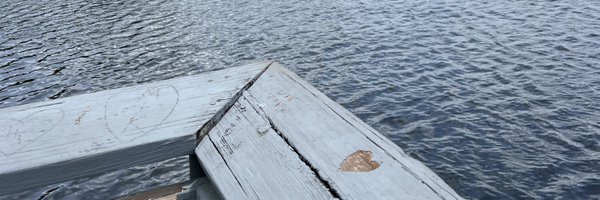 k9_cat Profile Banner