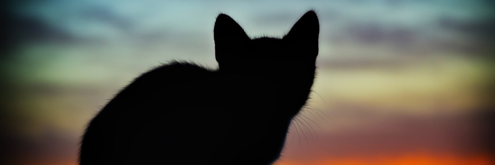 ᗰḍэ¦̶̸̶๋‎Z̶̶̶ banner