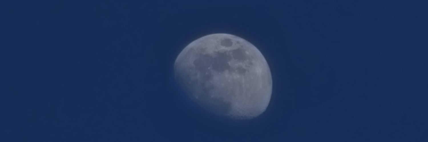 manoncottreau's profile banner image