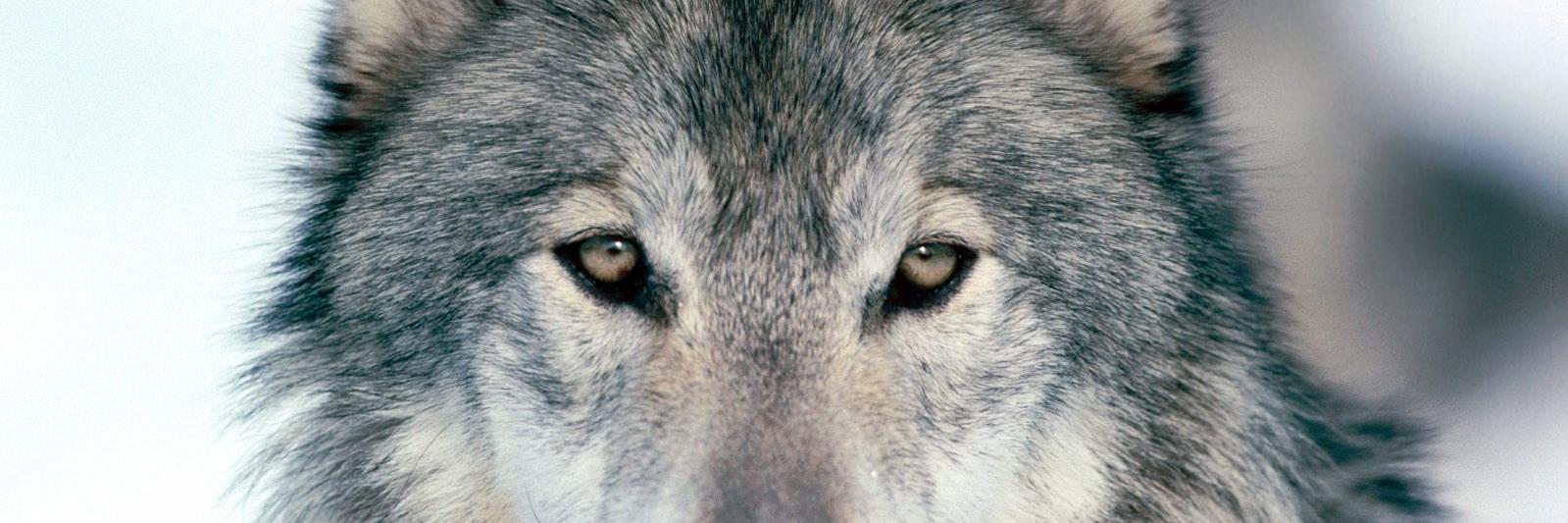 3212010Sam's profile banner image