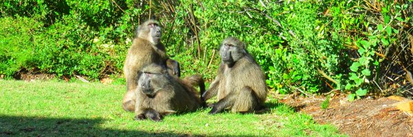 ReprobateCoZa Profile Banner