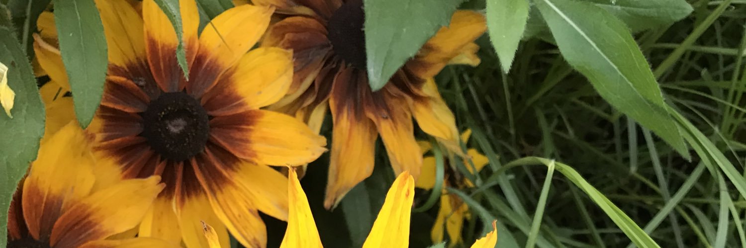 G H A D E E R | غدير banner