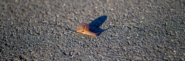 LogicalDiagram Profile Banner