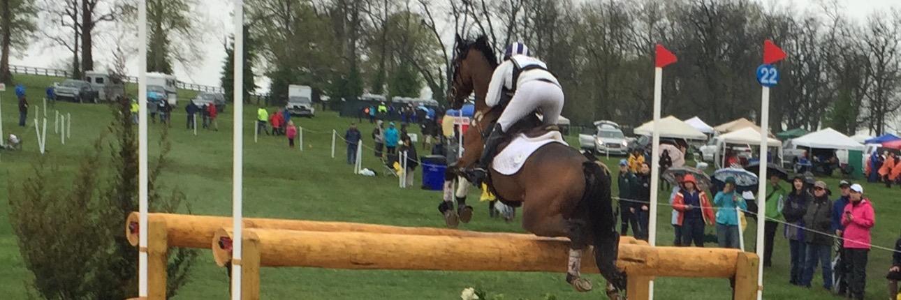 HPEquestrian's profile banner image