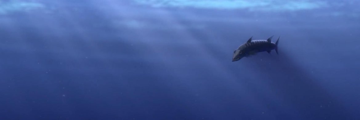 r banner