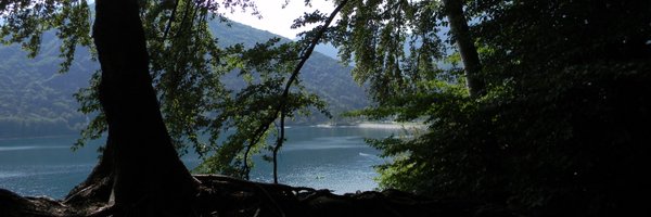 AliceRaffaele1 Profile Banner