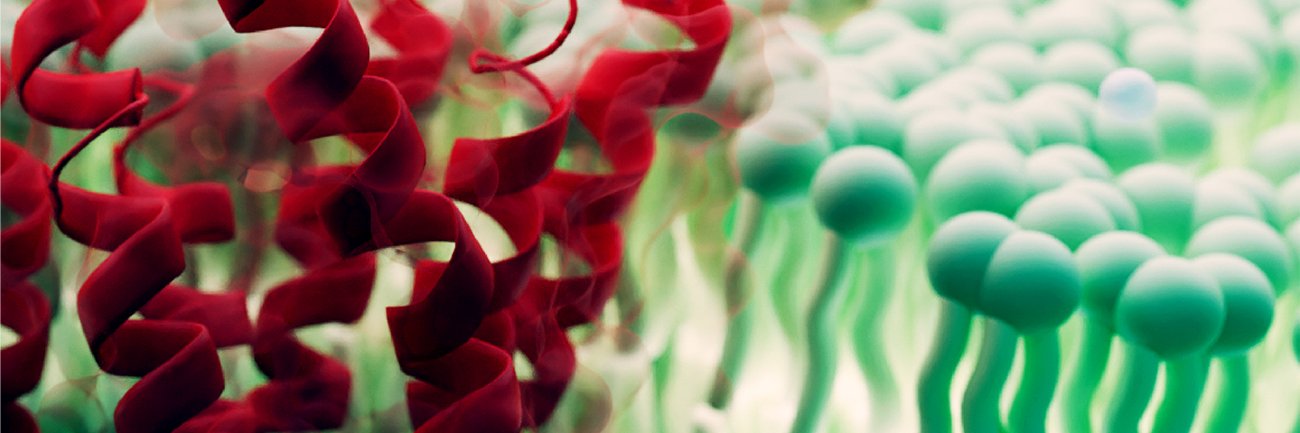 Sci-Illustrate banner