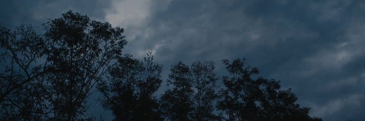 ツ banner