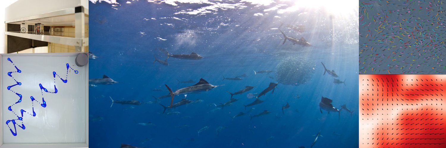 CollectiveLabs banner